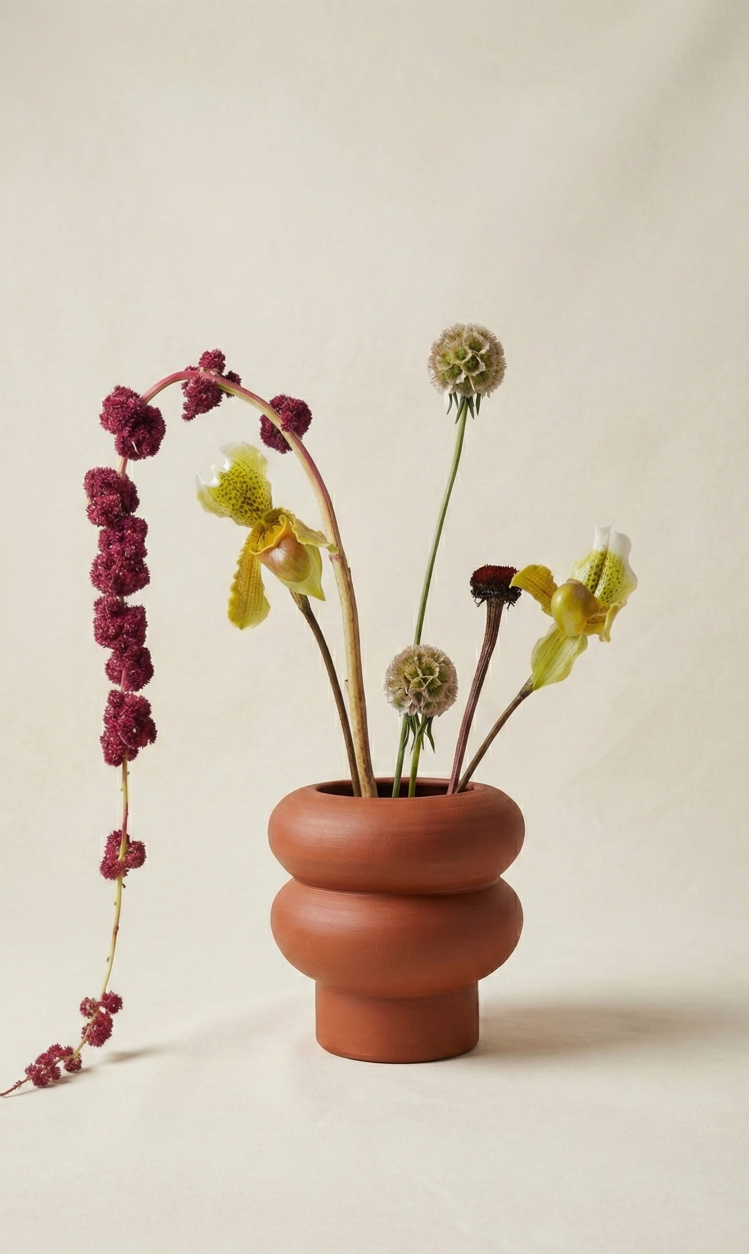 Terracotta vase with dried flowers on a beige background